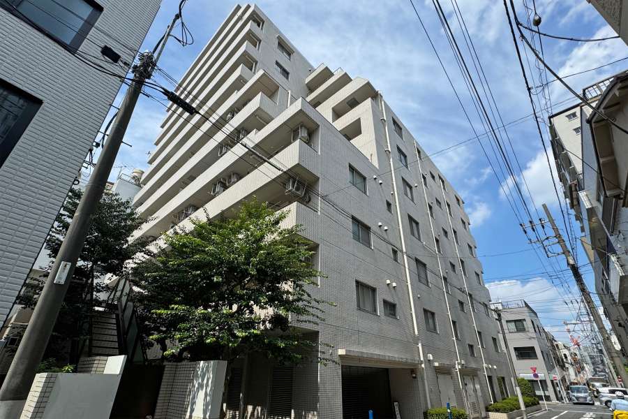 上野入谷シティハウスの外観（南東側から）