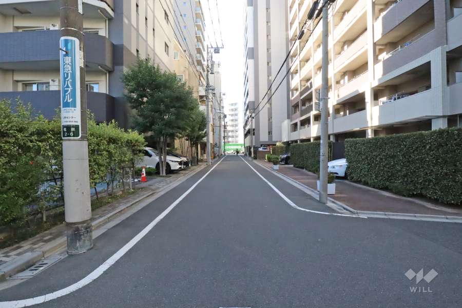 敷地南側の前面道路(東側から)