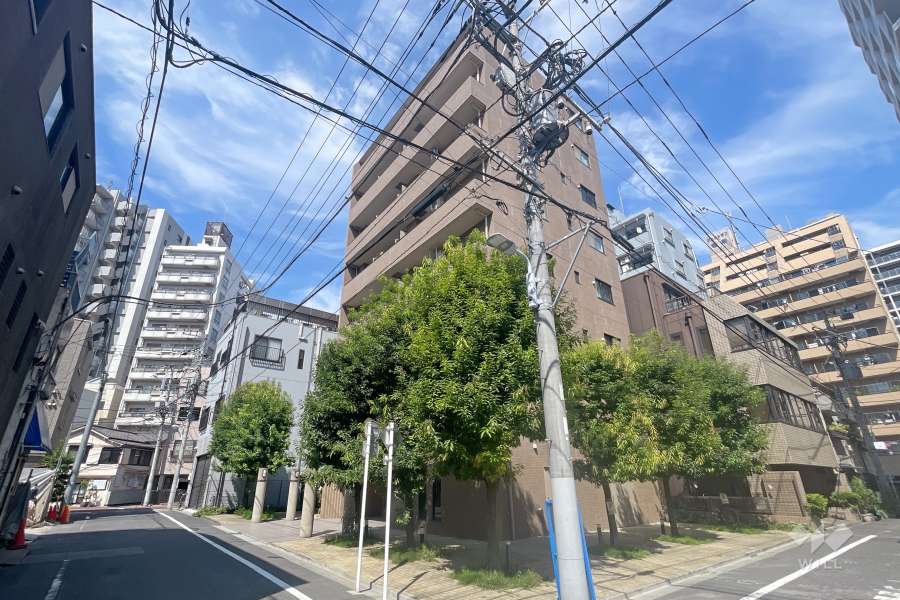 藤和シティコープ入谷の外観（南東側から）