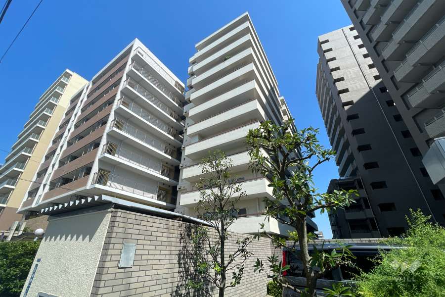 藤和東浅草コープの外観（南西側から）