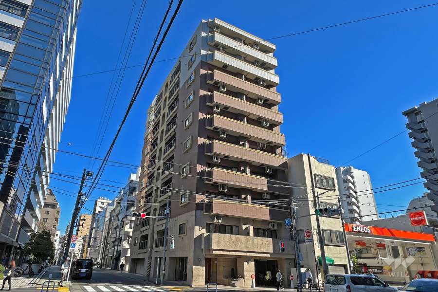 ディナスカーラ秋葉原の外観（北西側から）