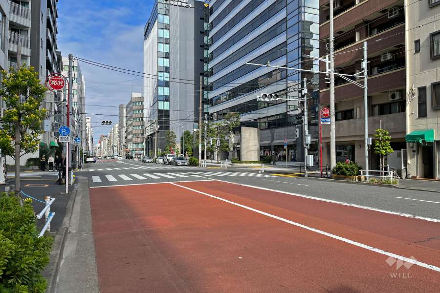 敷地西側の前面道路（南側から）