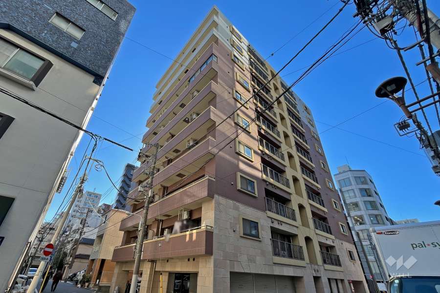 ディナスカーラ秋葉原の外観（東側から）