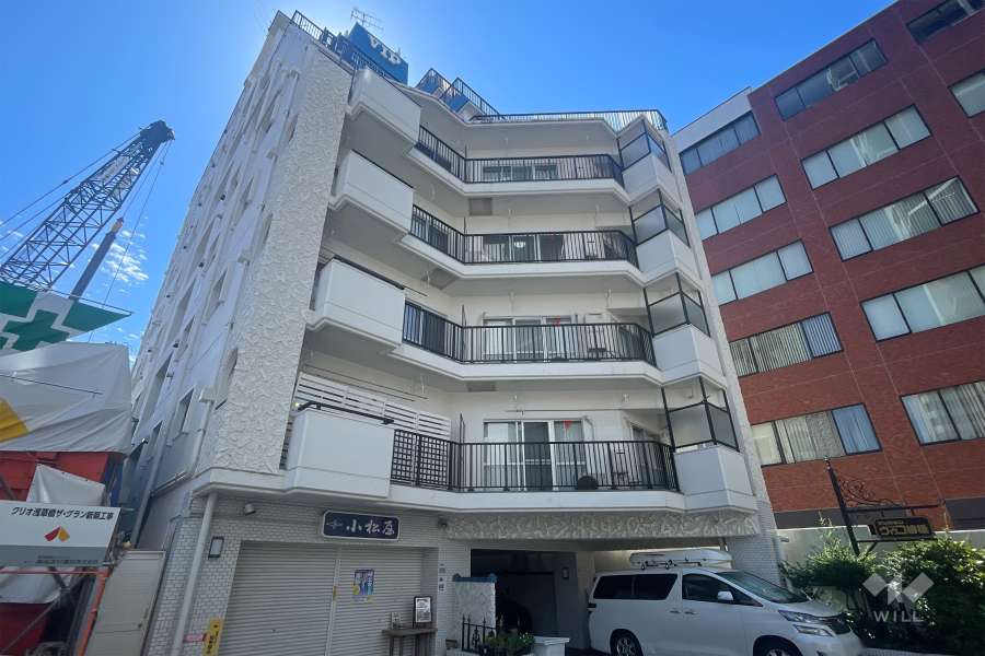 マンションヴィップ柳橋の外観（北西側から）