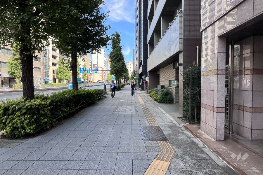 敷地の北西側前面道路（南西側から）