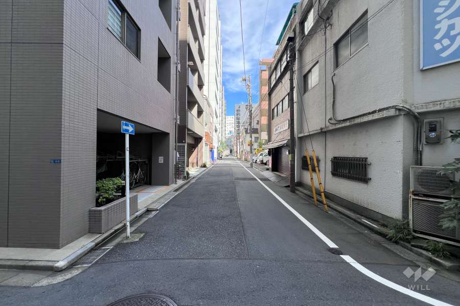 敷地の南東側前面道路（南西側から）