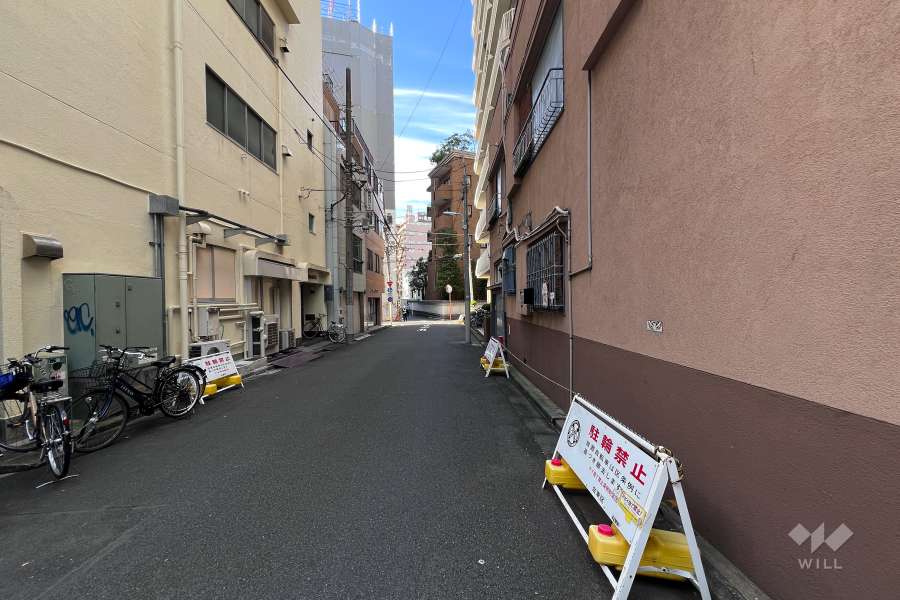 敷地南西側の前面道路（南東側から）