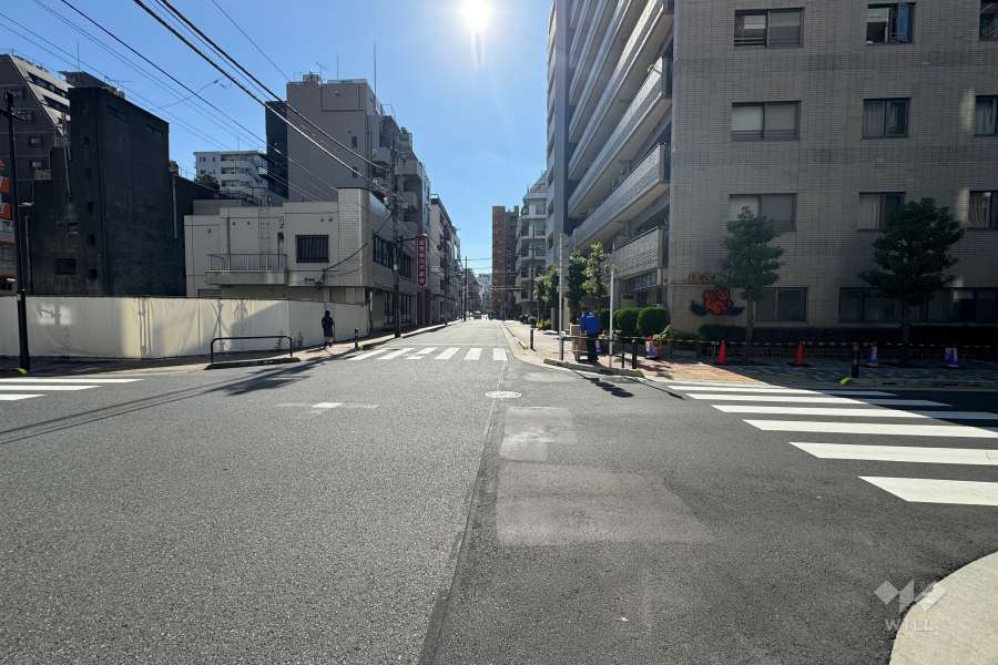 敷地の東側前面道路（北側から）