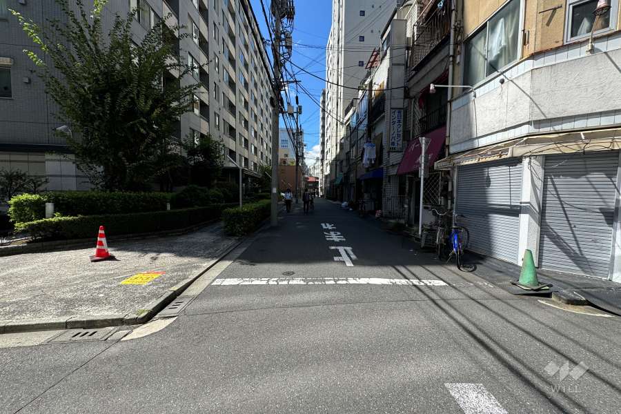 敷地の西側前面道路（北側から）