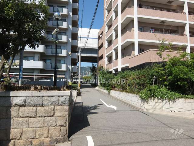 敷地西側の前面道路