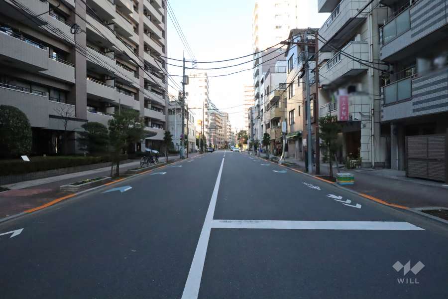 敷地東側の前面道路