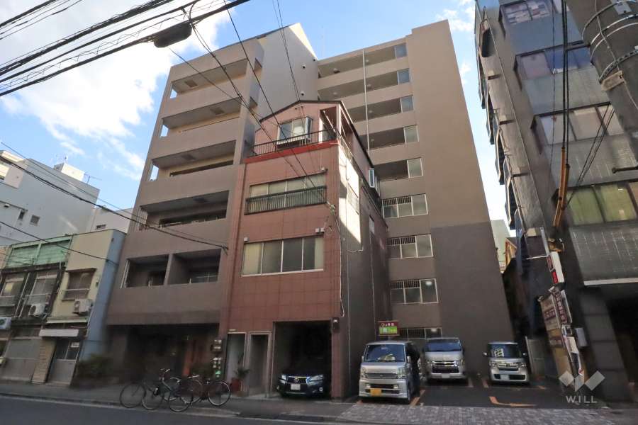 ルピナス台東レジデンスの外観(北西側から)