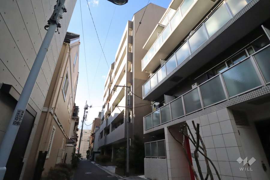 ルピナス台東レジデンスの外観(南東側から)