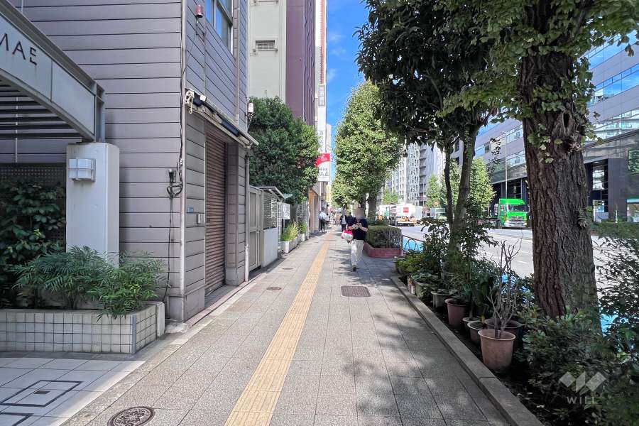 敷地南東側の前面道路（南西側から）