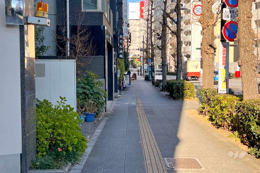 敷地東側の前面道路（南側から）
