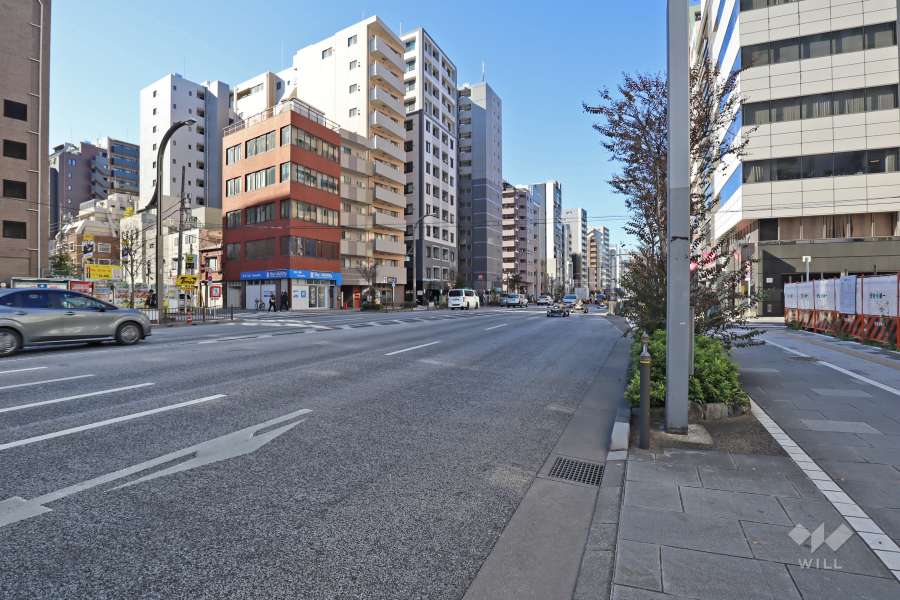 敷地南側の前面道路(西側から)