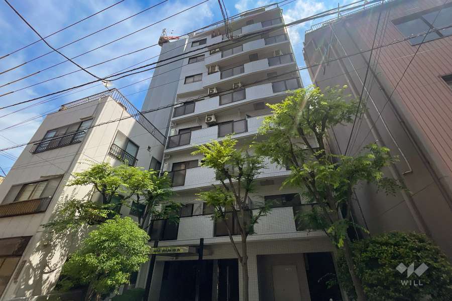 ナイスアーバン入谷の外観（南西側から）