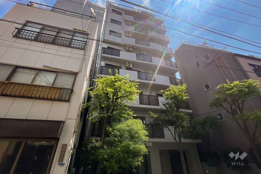 ナイスアーバン入谷の外観（北西側から）