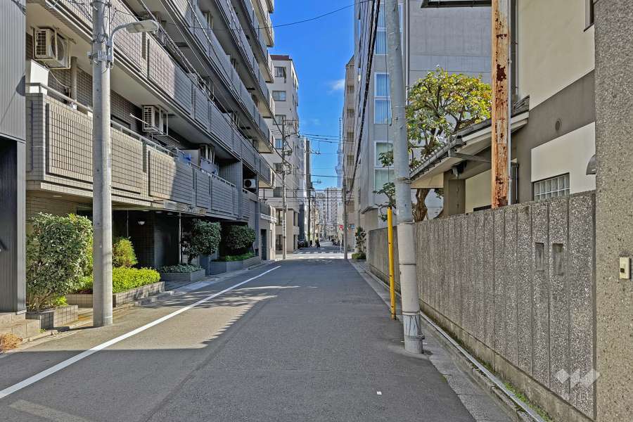 敷地の南側前面道路（西側から）