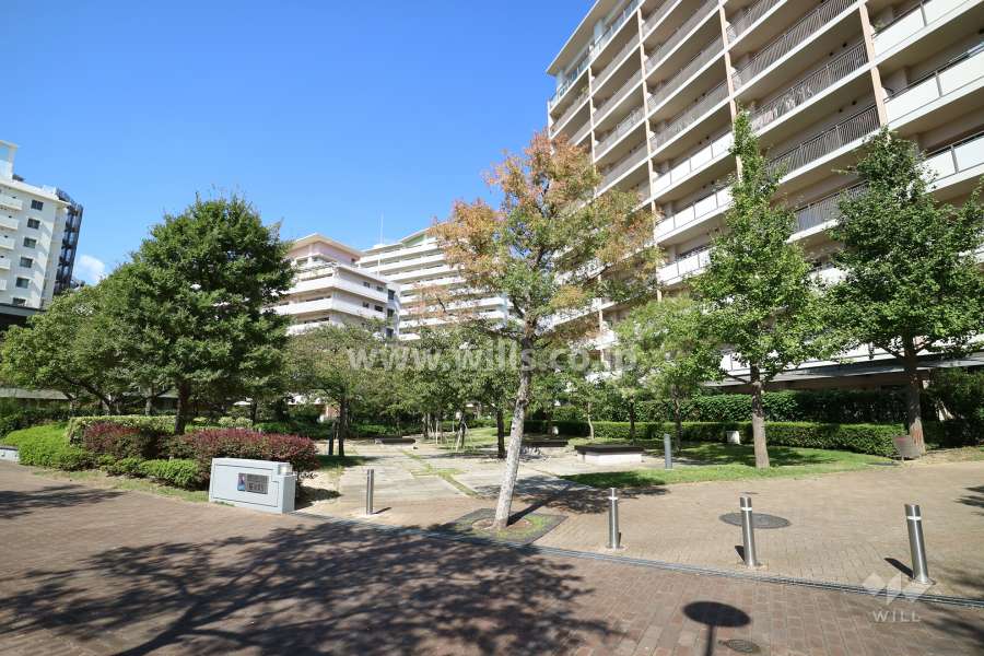 敷地内の広場