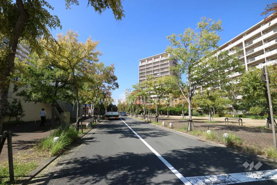 敷地南側の前面道路