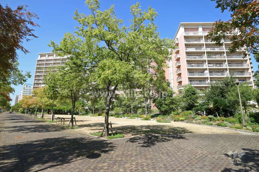敷地南側に隣接する「ニレ公園」