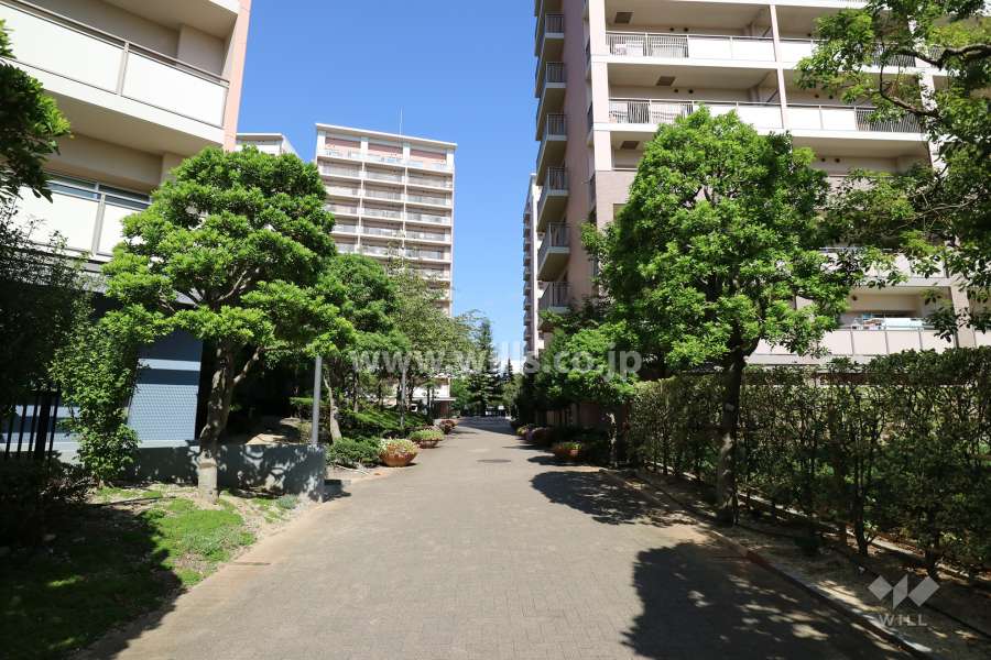 シンボルツリーへと続くアプローチ