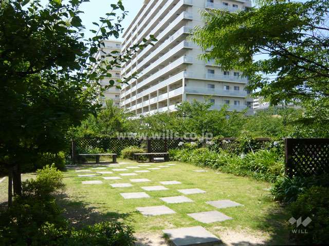 敷地南側の広場