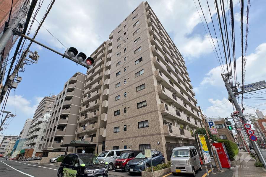 サンレイ浅草の外観（南西側から）