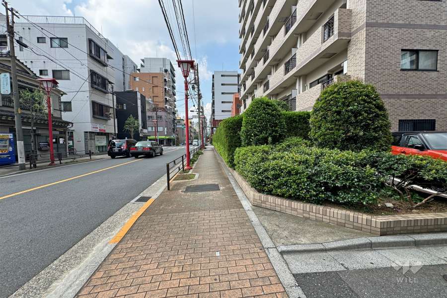 敷地南東側の前面道路（北東側から）