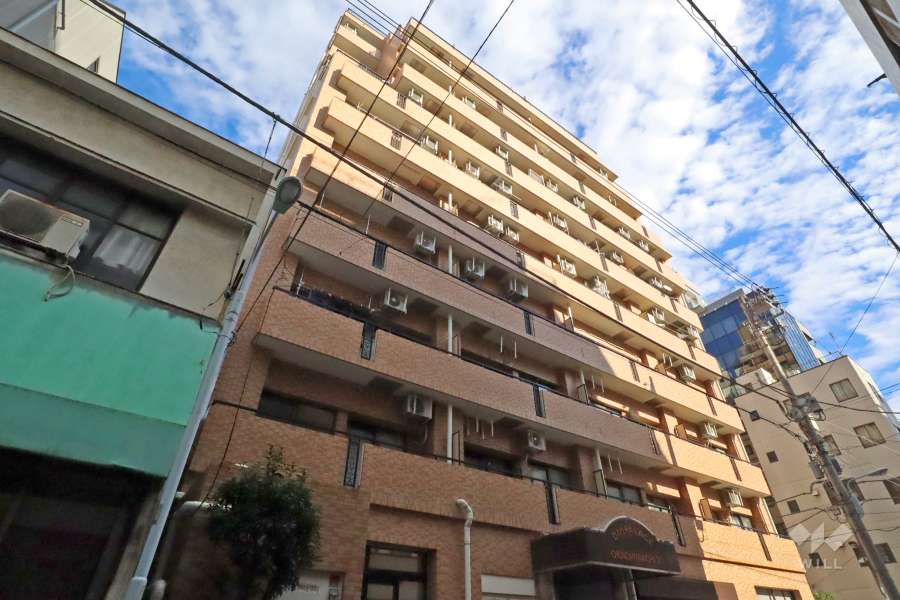 ダイアパレス御徒町5の外観（南西側から）