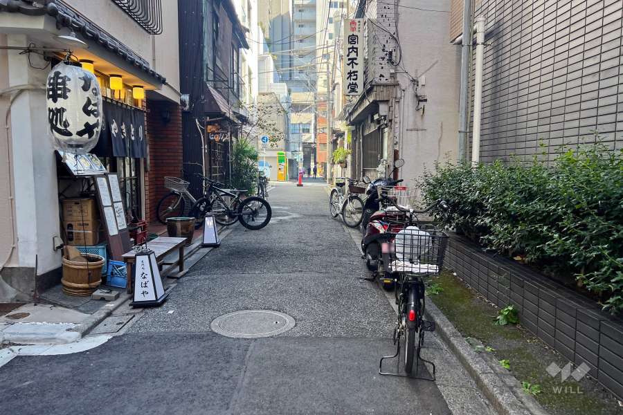敷地北側の前面道路（西側から）
