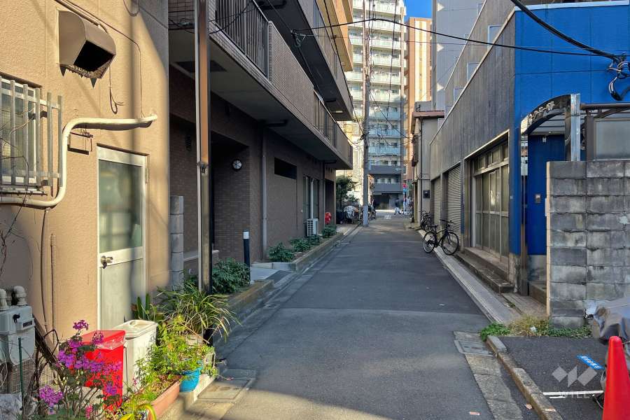 敷地南側の前面道路（西側から）