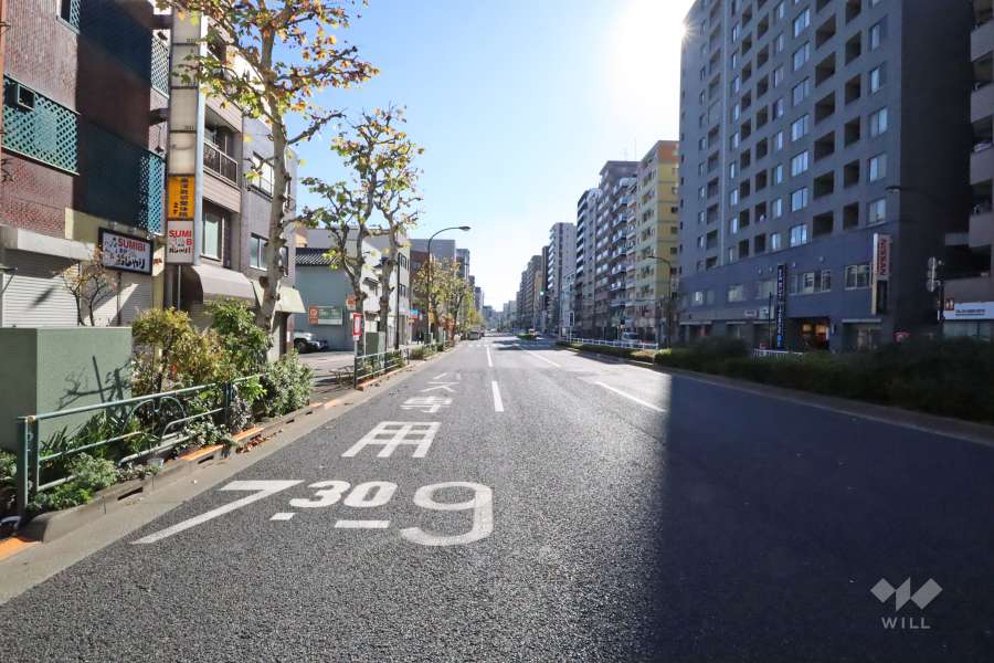 敷地東側の前面道路（北側から）
