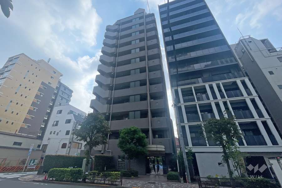 ヴィルヌーブ入谷の外観（南西側から）