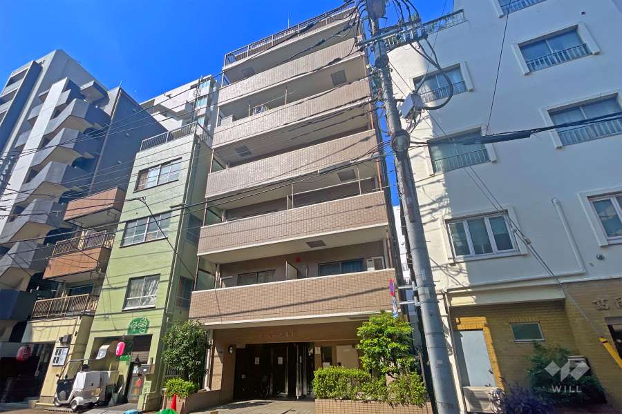 シーガルハイツ入谷壱番館の外観（北東側から）
