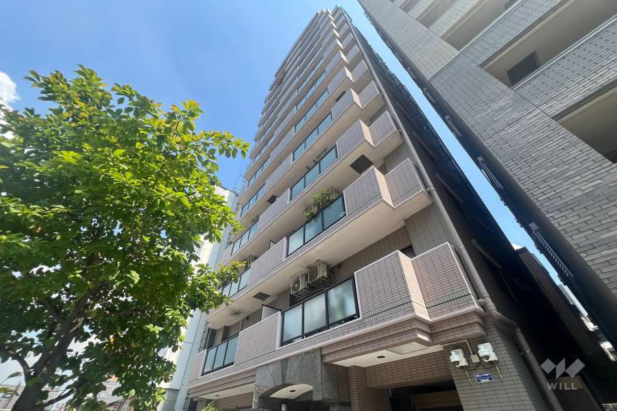 レクセルマンション浅草の外観（南西側から）