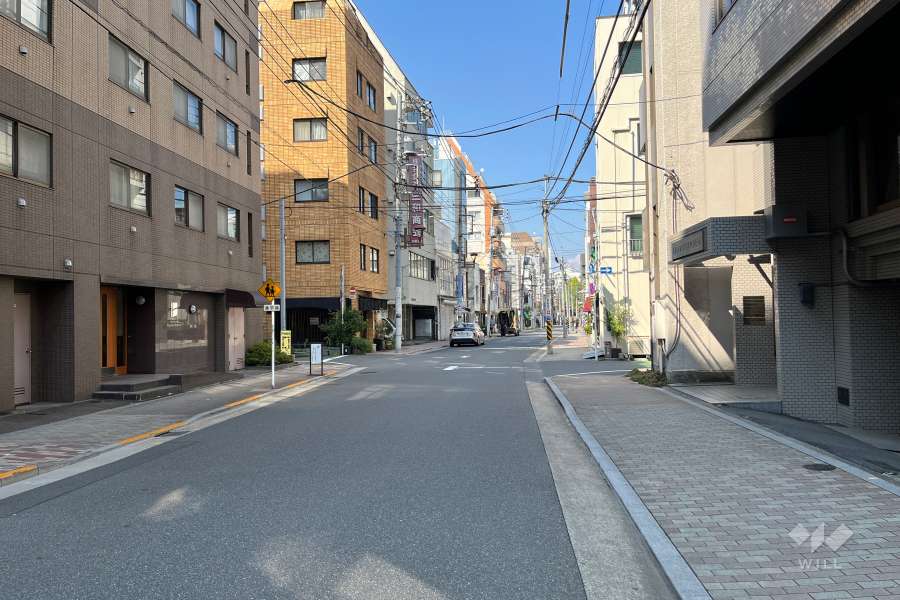 敷地の東側前面道路（南側から）