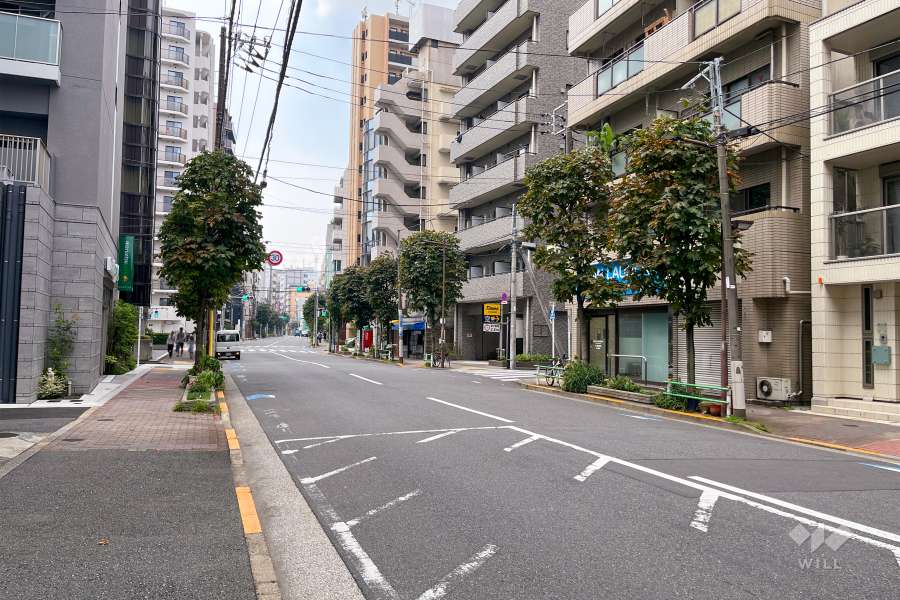 敷地東側の前面道路（北側から）