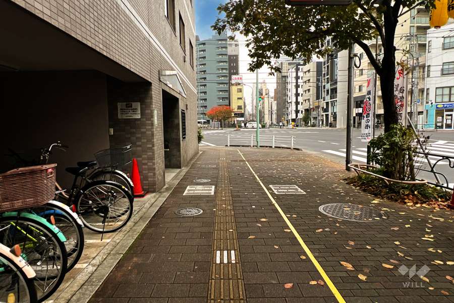 敷地西側の前面道路（北側から）
