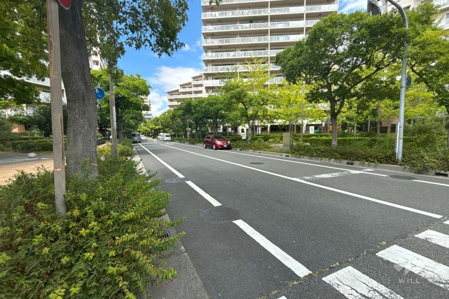 敷地東側の前面道路（南側から）