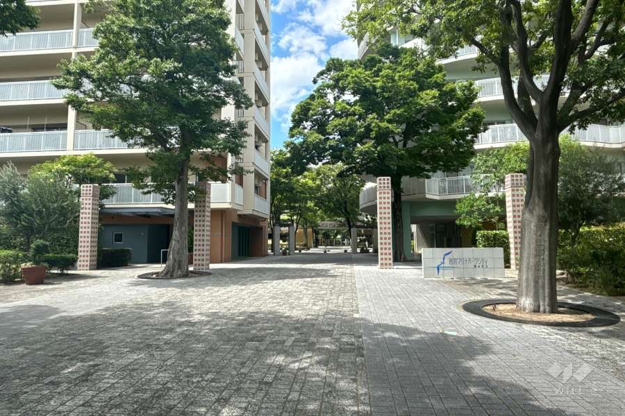 海のまち各棟へのアプローチ