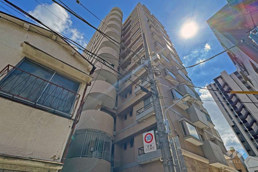 グランドパーク入谷クレアーレの外観（北西側から）