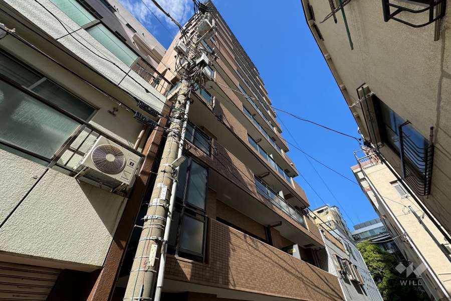 ダイアパレス西浅草グランマジェストの外観（南東側から）