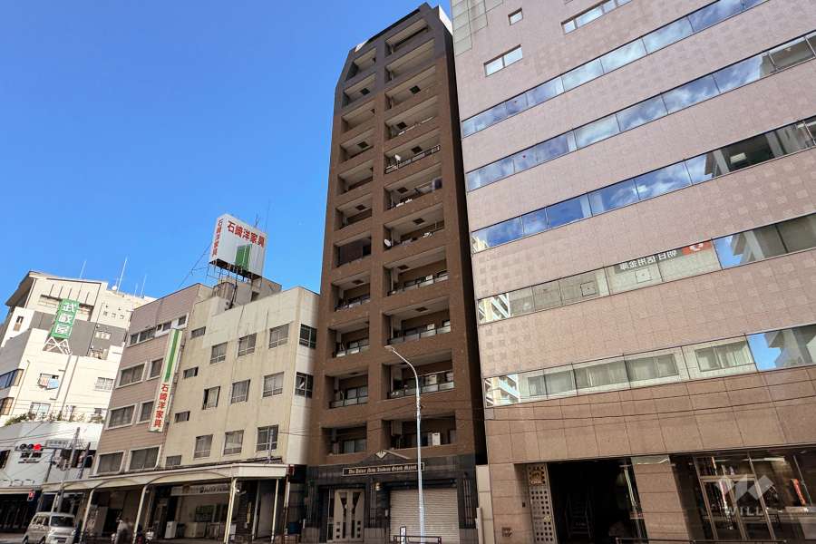 ダイアパレス西浅草グランマジェストの外観（南西側から）