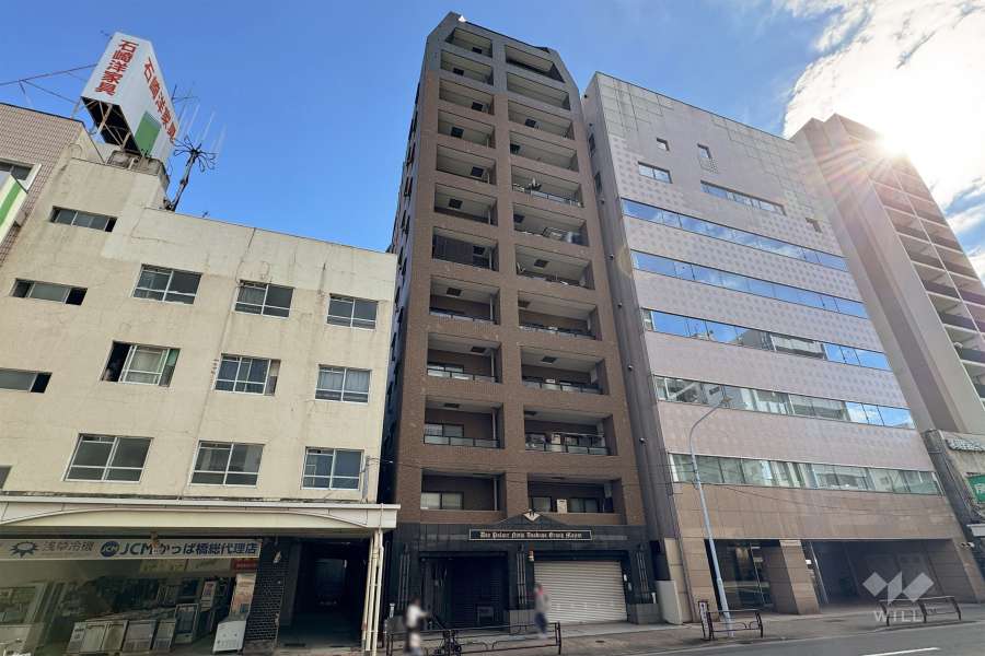 ダイアパレス西浅草グランマジェストの外観（北西側から）