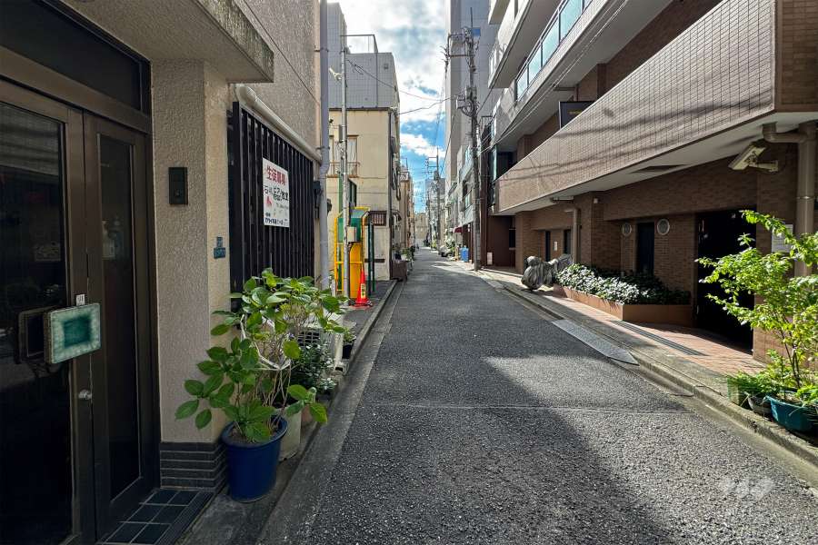 敷地東側の前面道路（北側から）