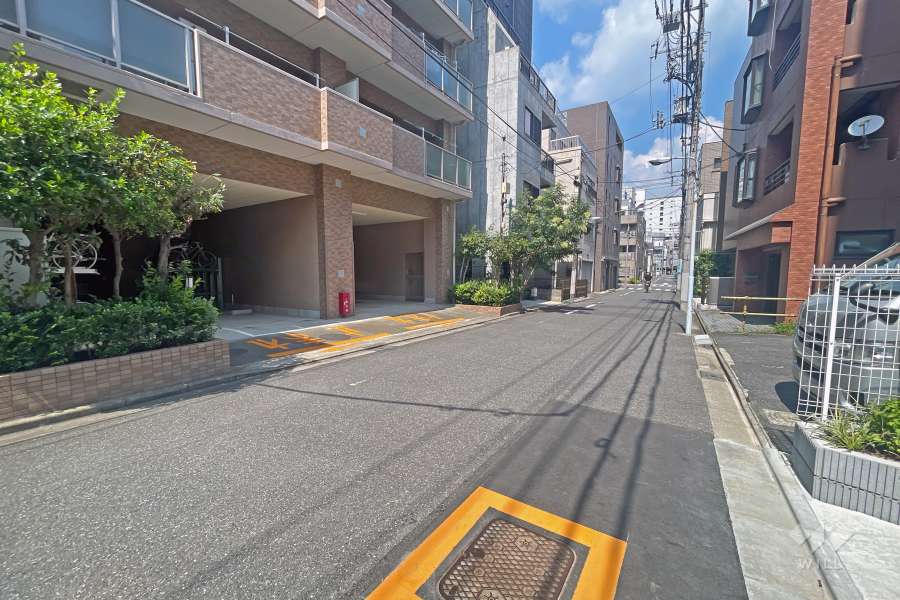 敷地の東側前面道路（南側から）