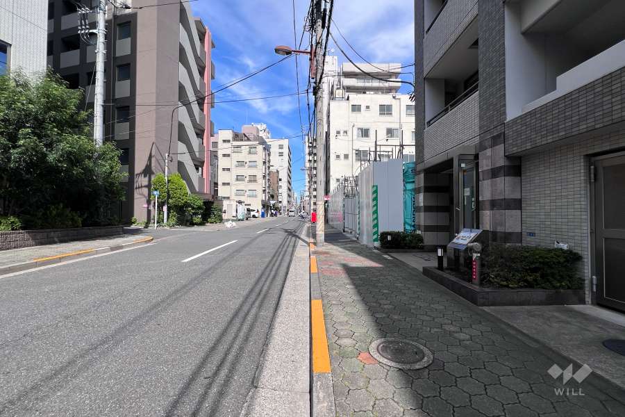 敷地の西側前面道路（南側から）