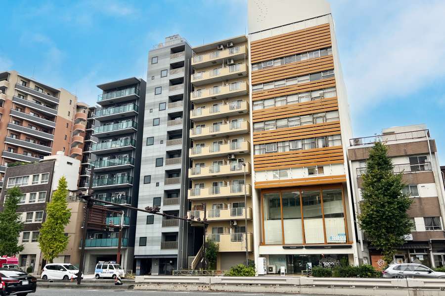 ドメイン入谷ステーションプラザの外観（東側から）